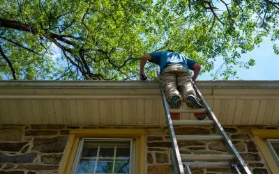 Spring Home Maintenance in Arizona